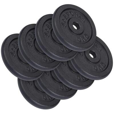 Hantelscheiben-Set 30/31 mm