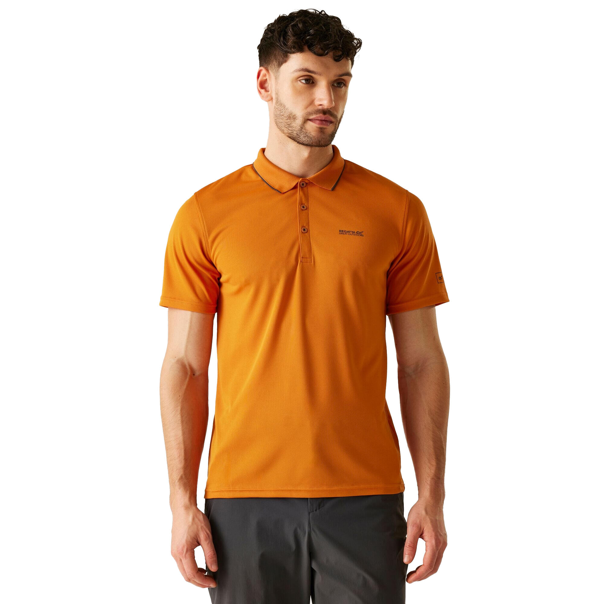 REGATTA Mens Maverick V Active Polo Shirt (Fox/Ash)