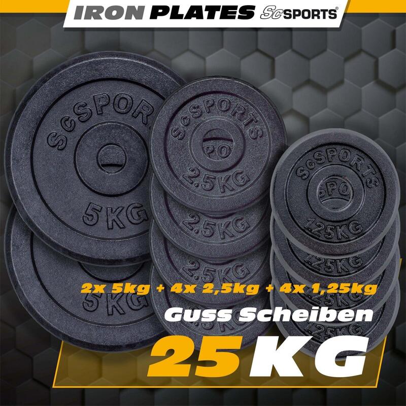 Set de discuri de greutate 25 KG 30 si 31 mm fonta