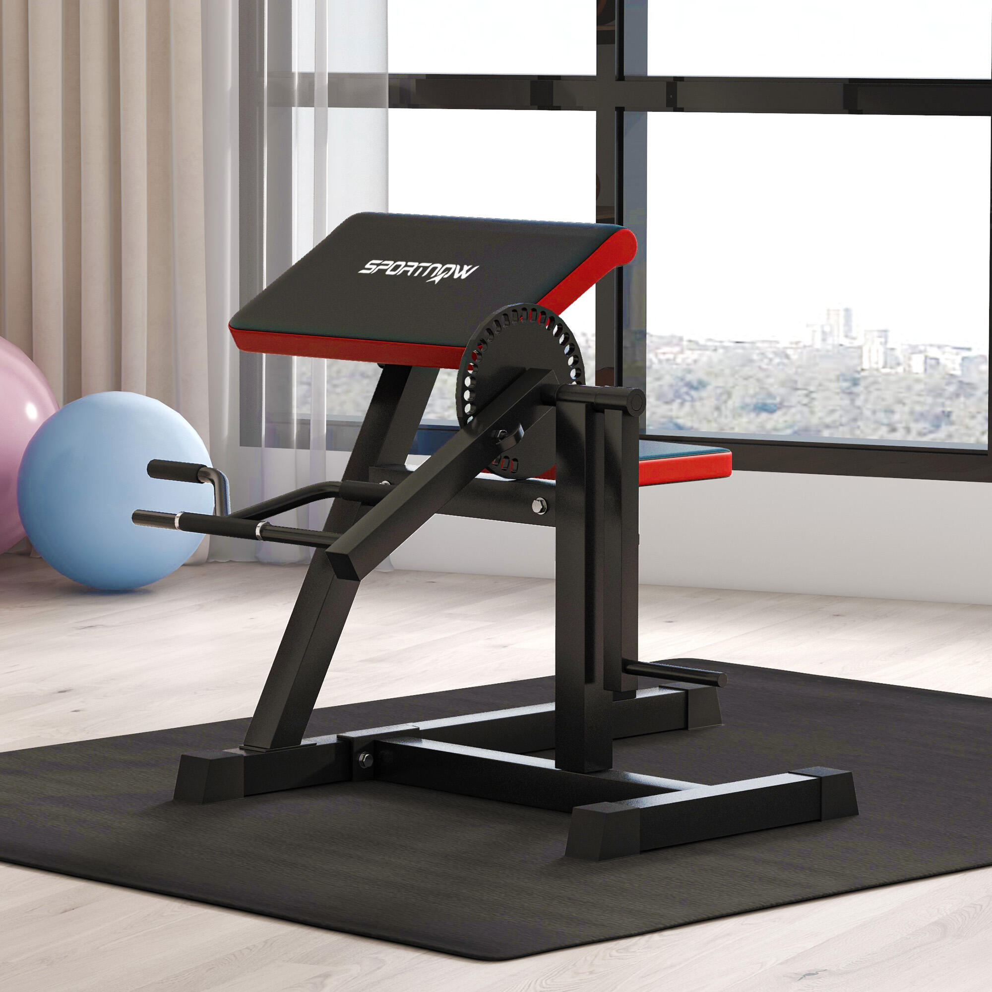 SPORTNOW Panca Romana 2 in 1 per Curl e Tricipiti con 25 Regolazioni, Nero 2/7