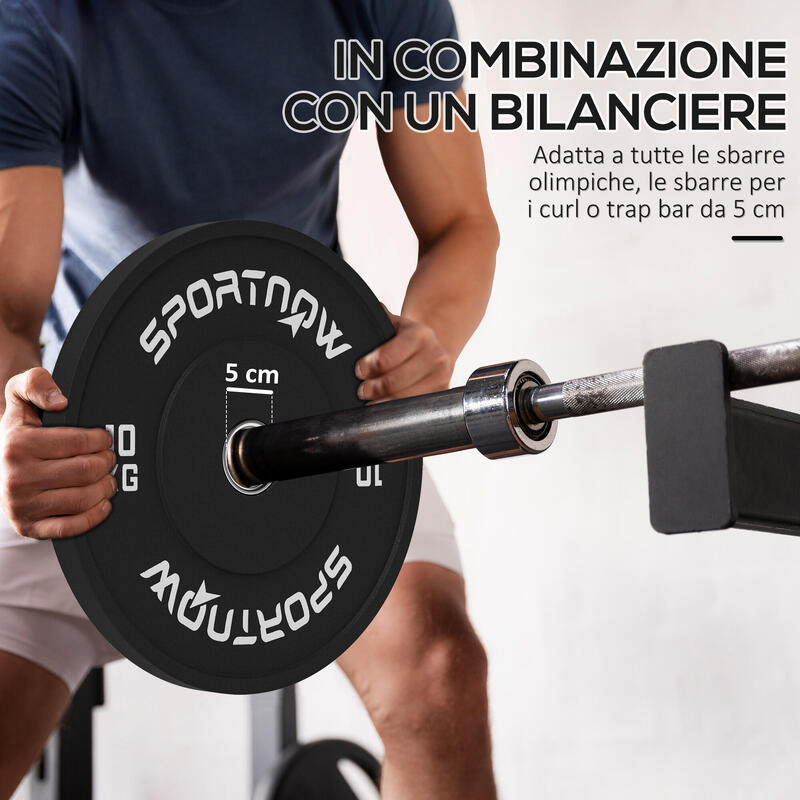 SPORTNOW Set 2 Discuri Cauciuc Greutate 10 kg Gaură 5 cm pentru Gantere,Haltere