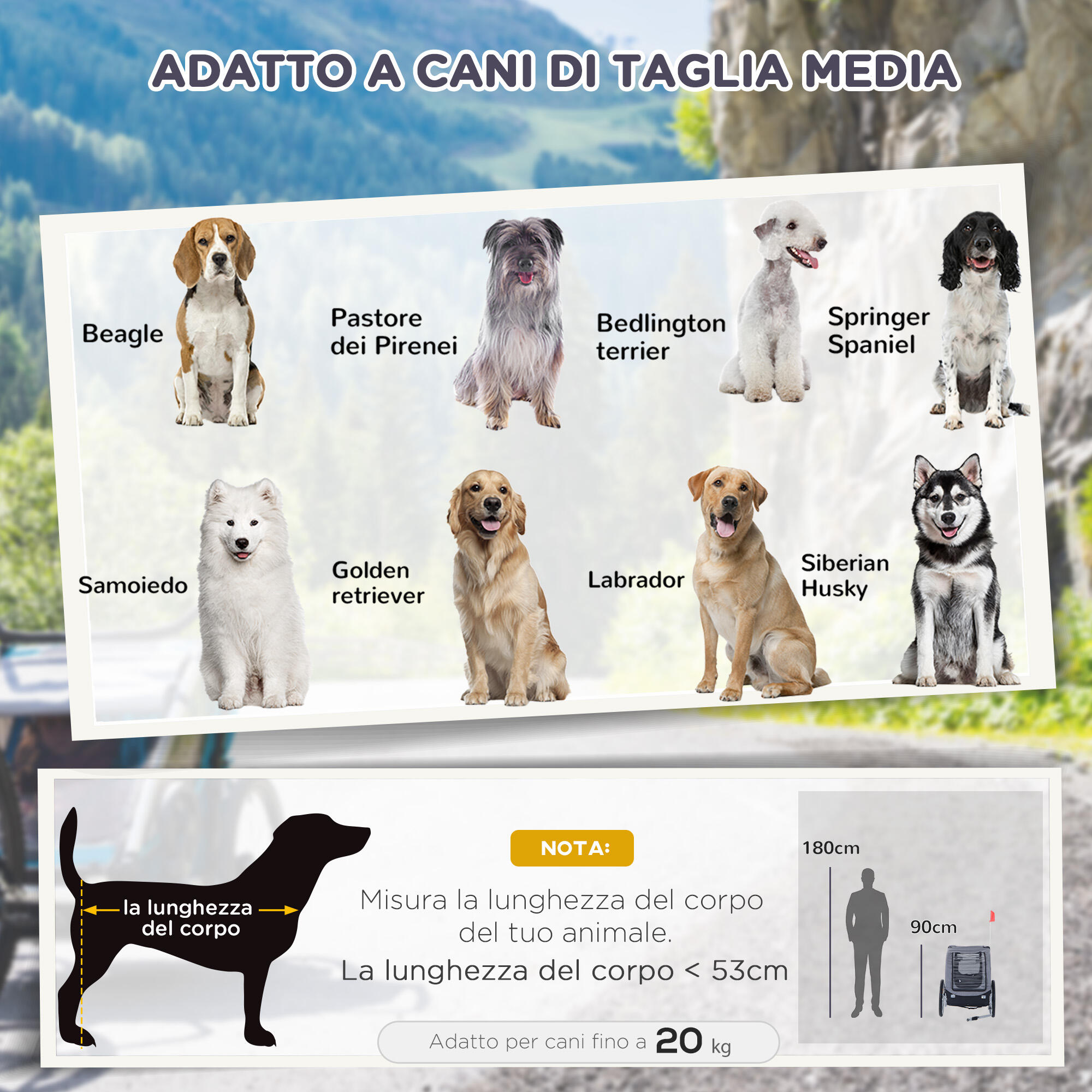 PawHut Rimorchio Bici per Cani Taglia Media con Finestre Laterali e Bandierina 4/8