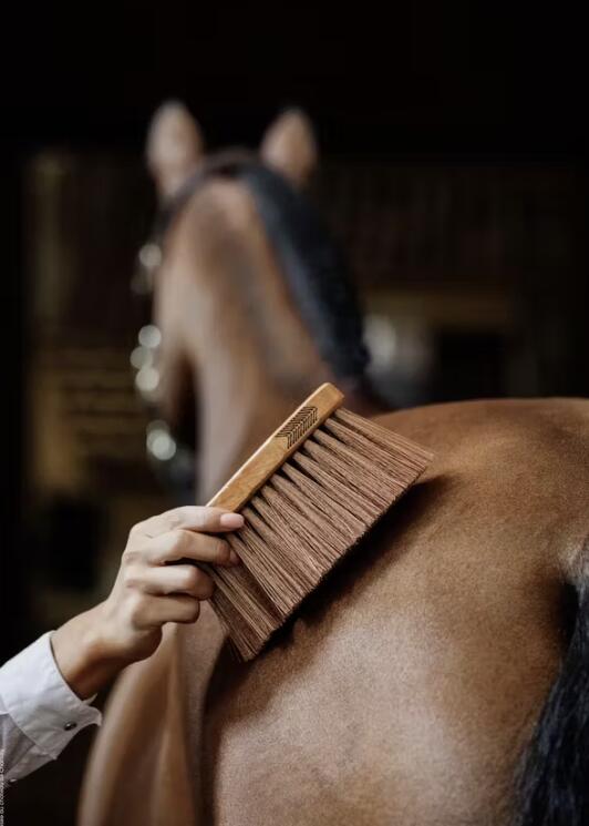 Medium horse stopper Kentucky 2/7