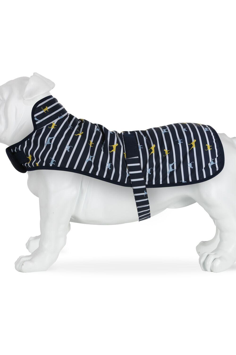 Wasserdichter Hundemantel, Atmungsaktiv & Verstellbar - Arlo, blau-grün 2/3