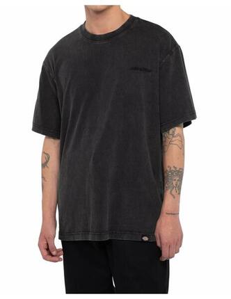 T-shirt Dickies modèle DK0A866BH861 pour homme
