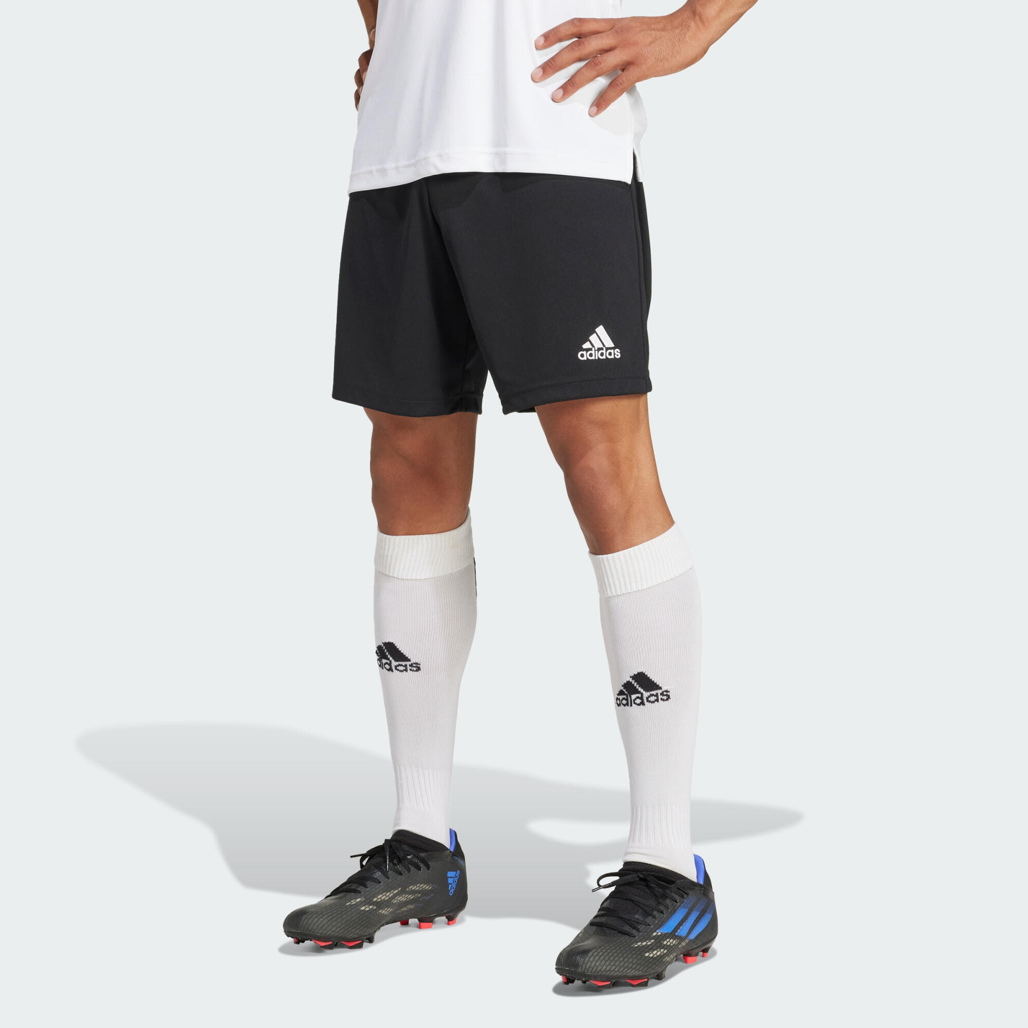 ADIDAS Pantalón corto Entrada 22