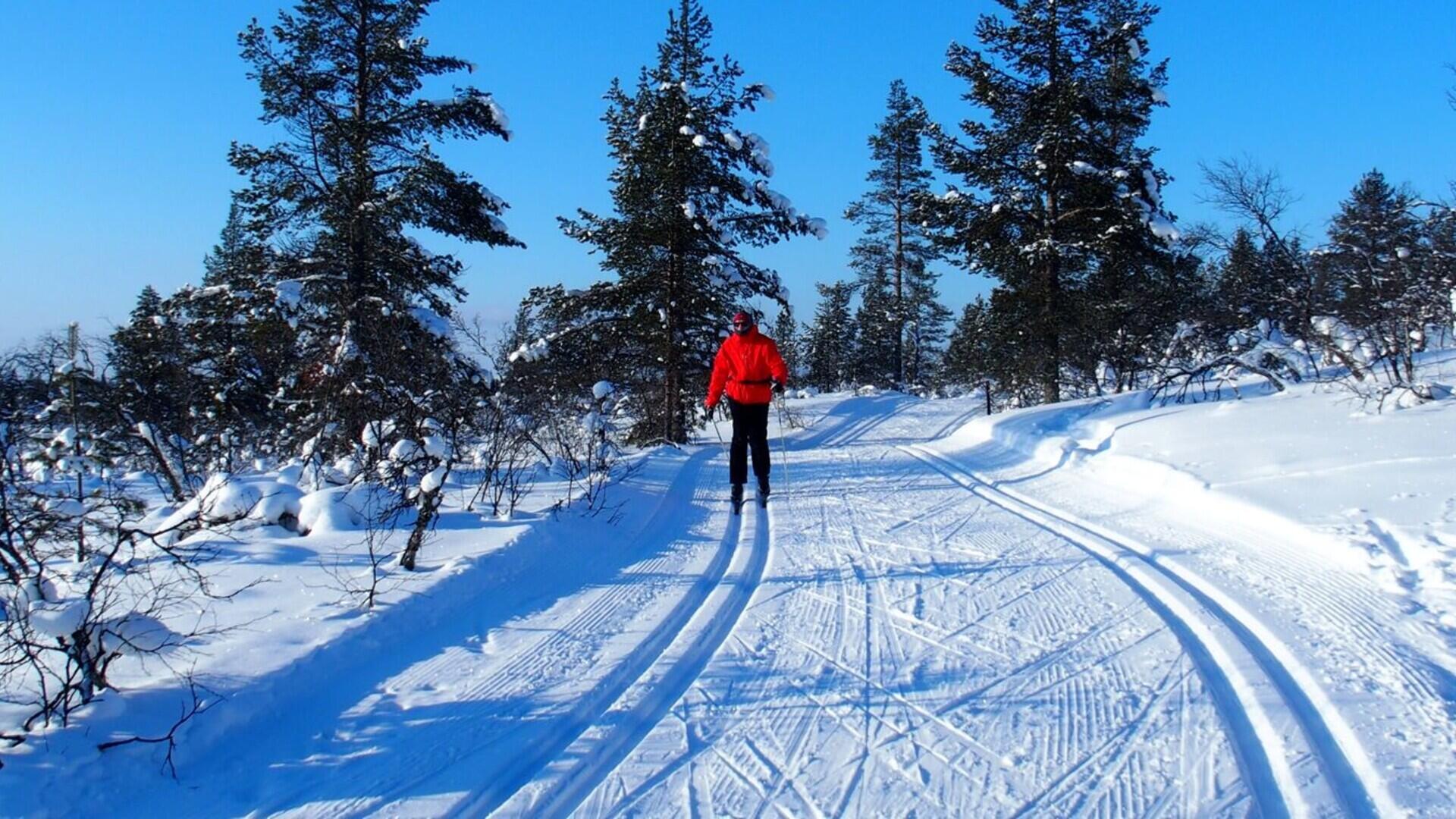 DECATHLON TRAVEL picture
