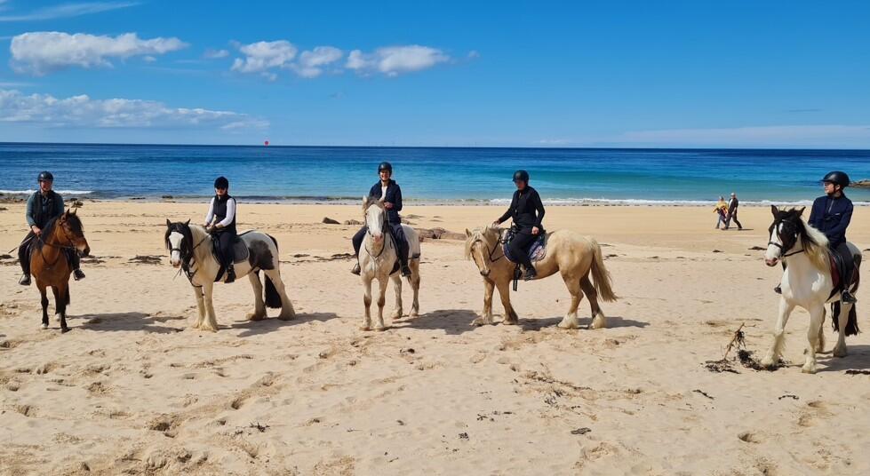 Débuter à cheval en Bretagne : cours et balades en bord de mer 1/1