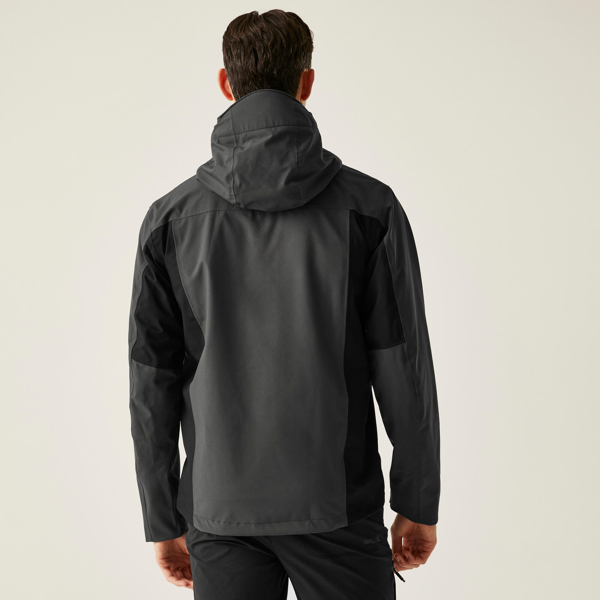 Veste - Birchdale homme 2/7