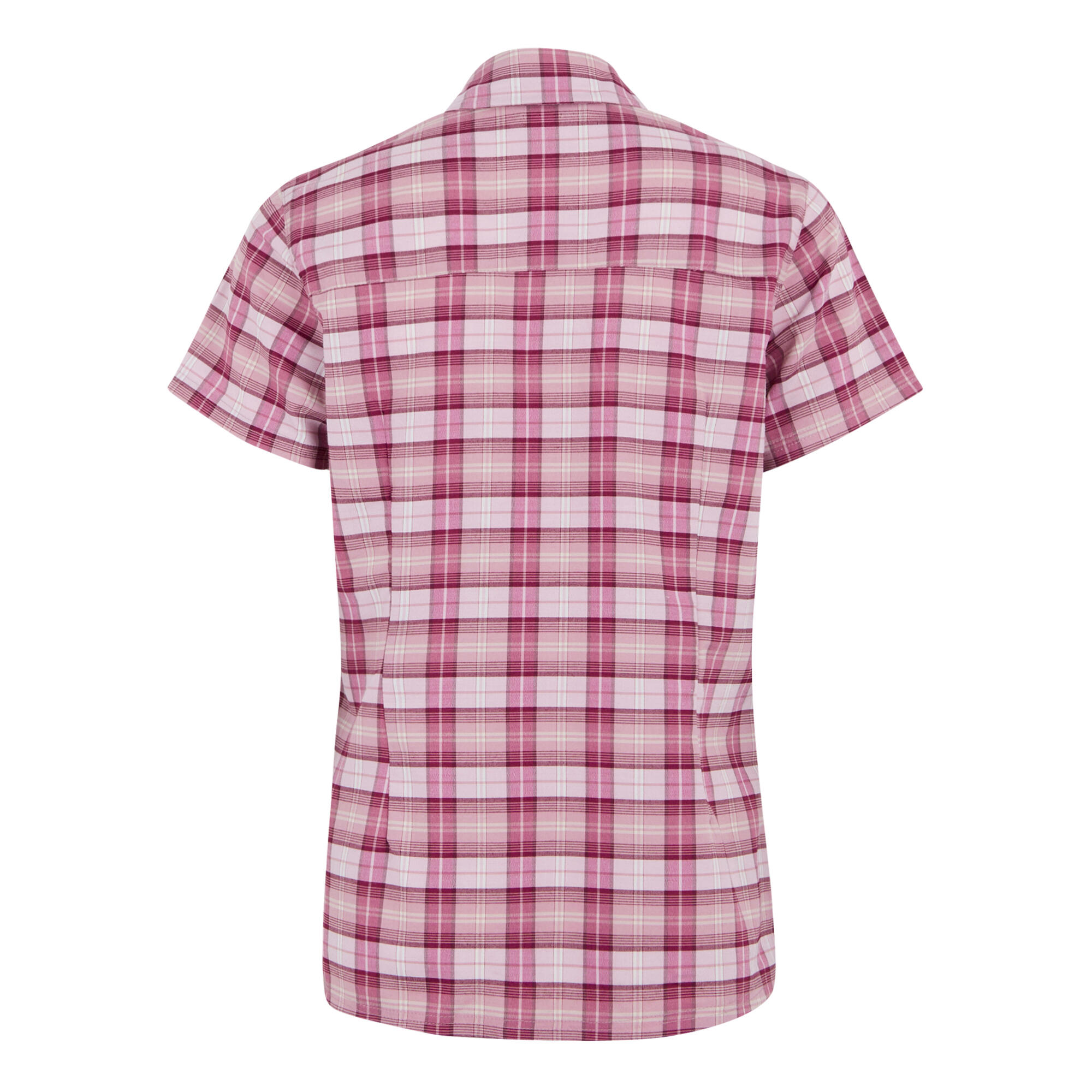 T-shirt Manches Courtes - Begarno bleu et blanc femme 6/7