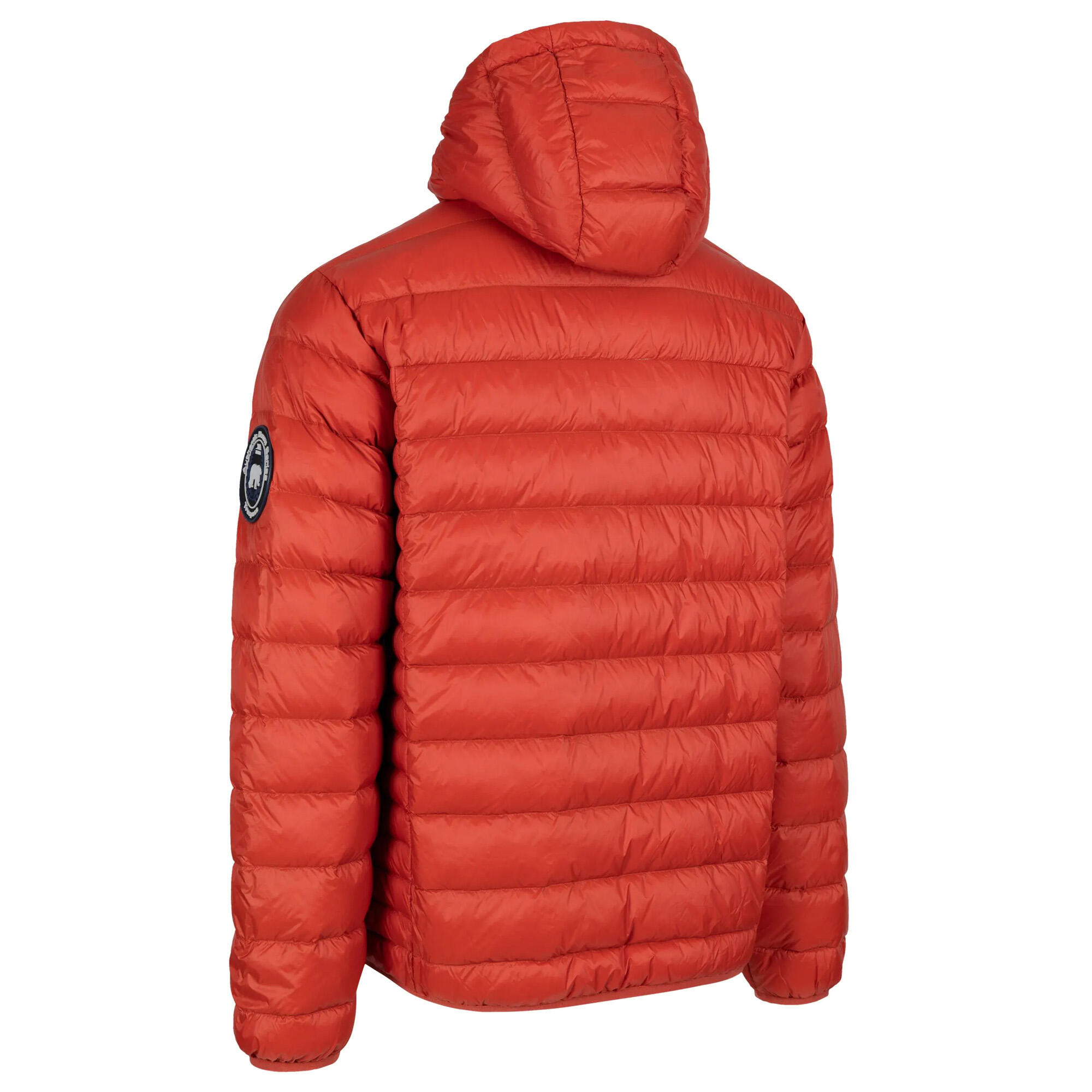 Daunenjacke Whitman II Herren Salsa 2/5