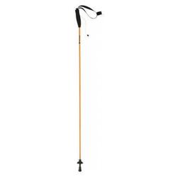 Bâton de trail pliable Ferrino Eiger 125 cm