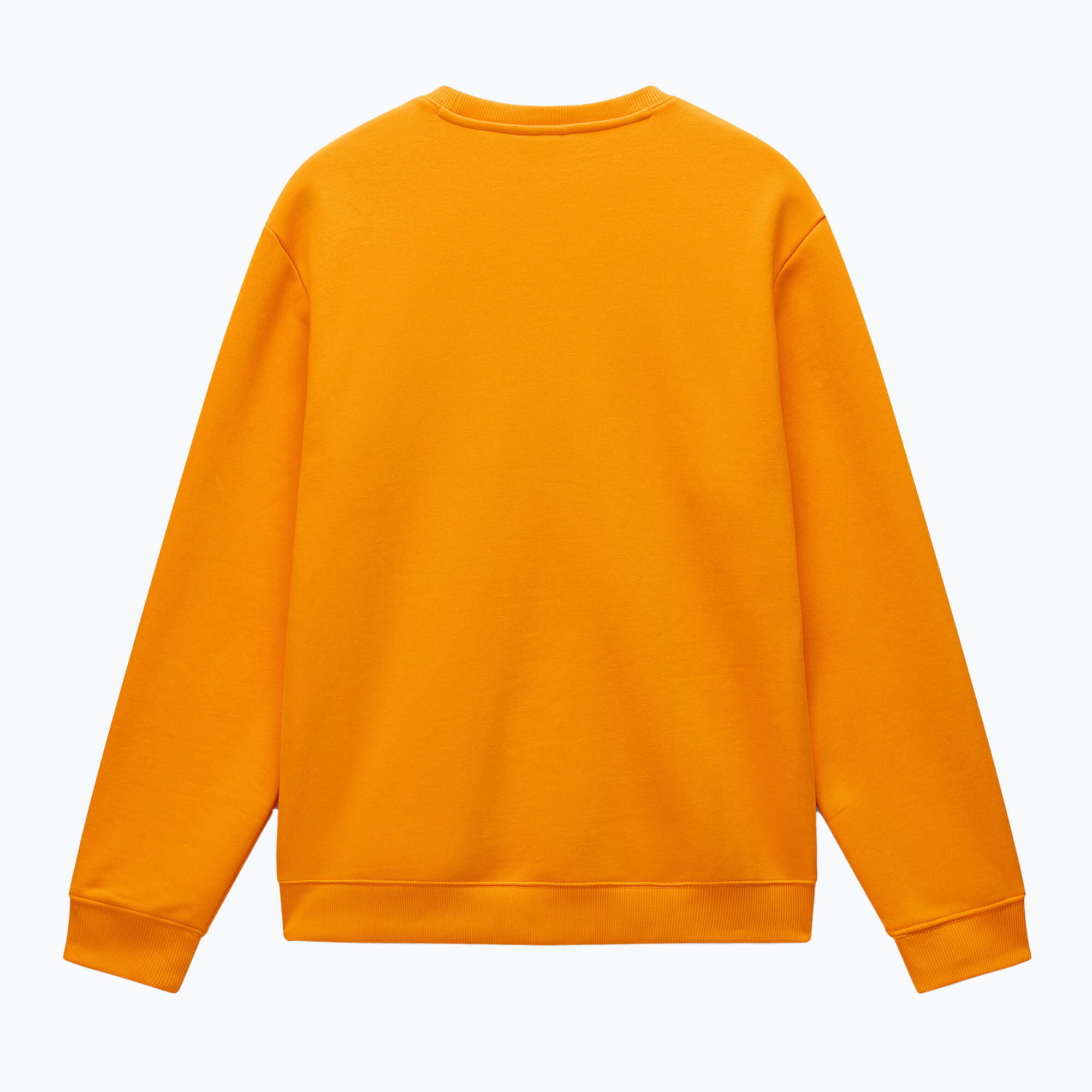 Bluza męska Napapijri B-Albula C 5/5