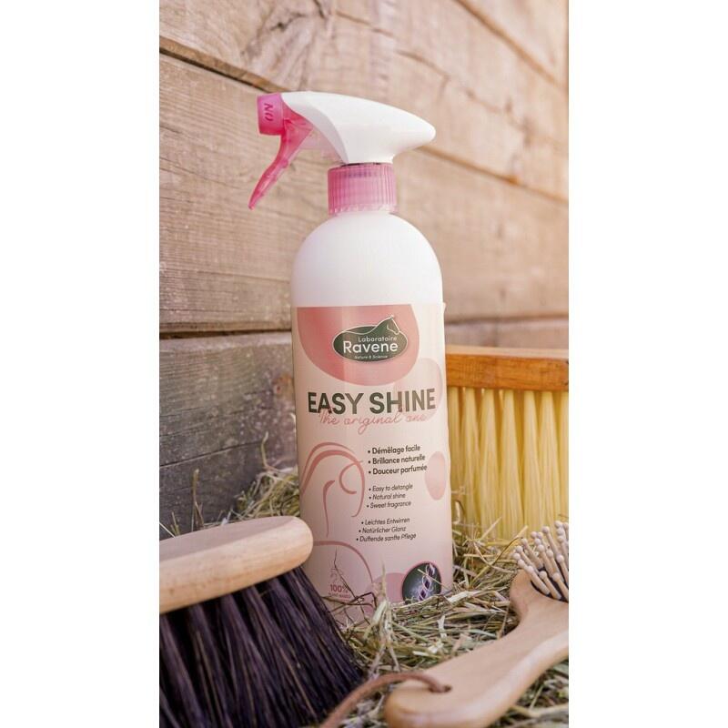 Salviette Easy Shine Wipe Ravene - Pratiche Per Pulizie Rapide E Lucidatura