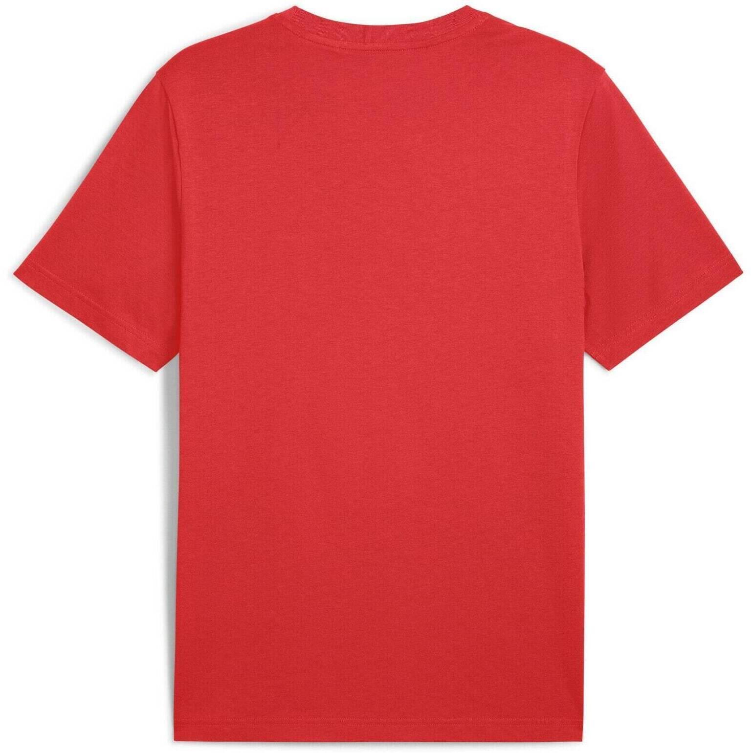Maglietta Puma United Tee, Rosso, Uomini 5/5