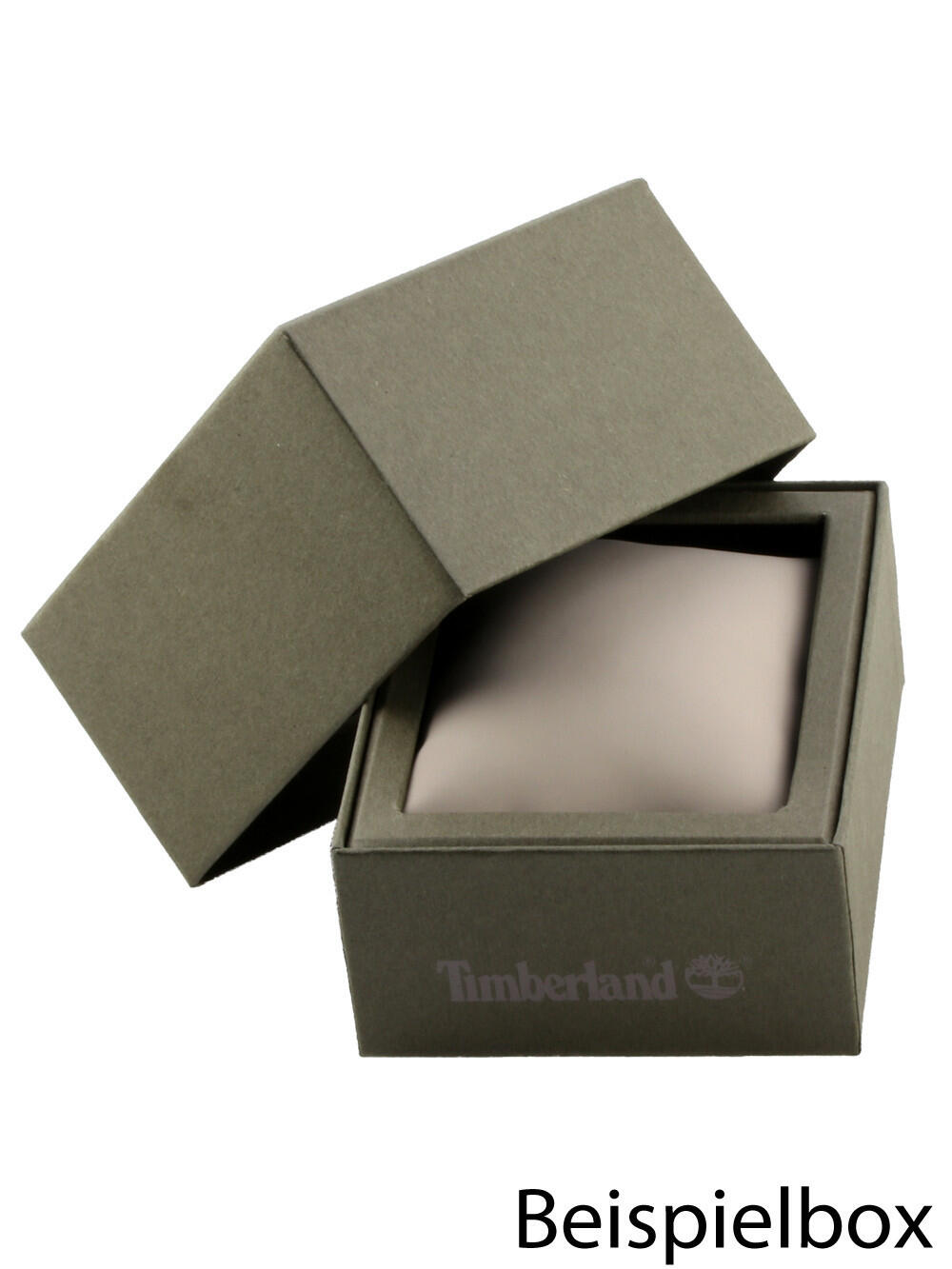 Montre Homme Timberland TDWGP2201601, Quartz, 44mm, 5ATM 2/2
