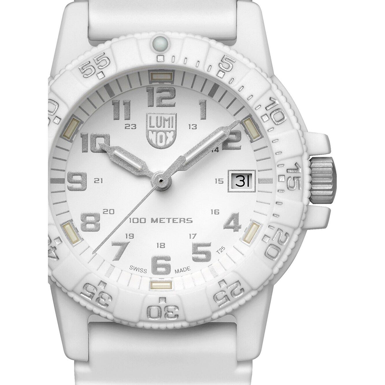 LUMINOX picture