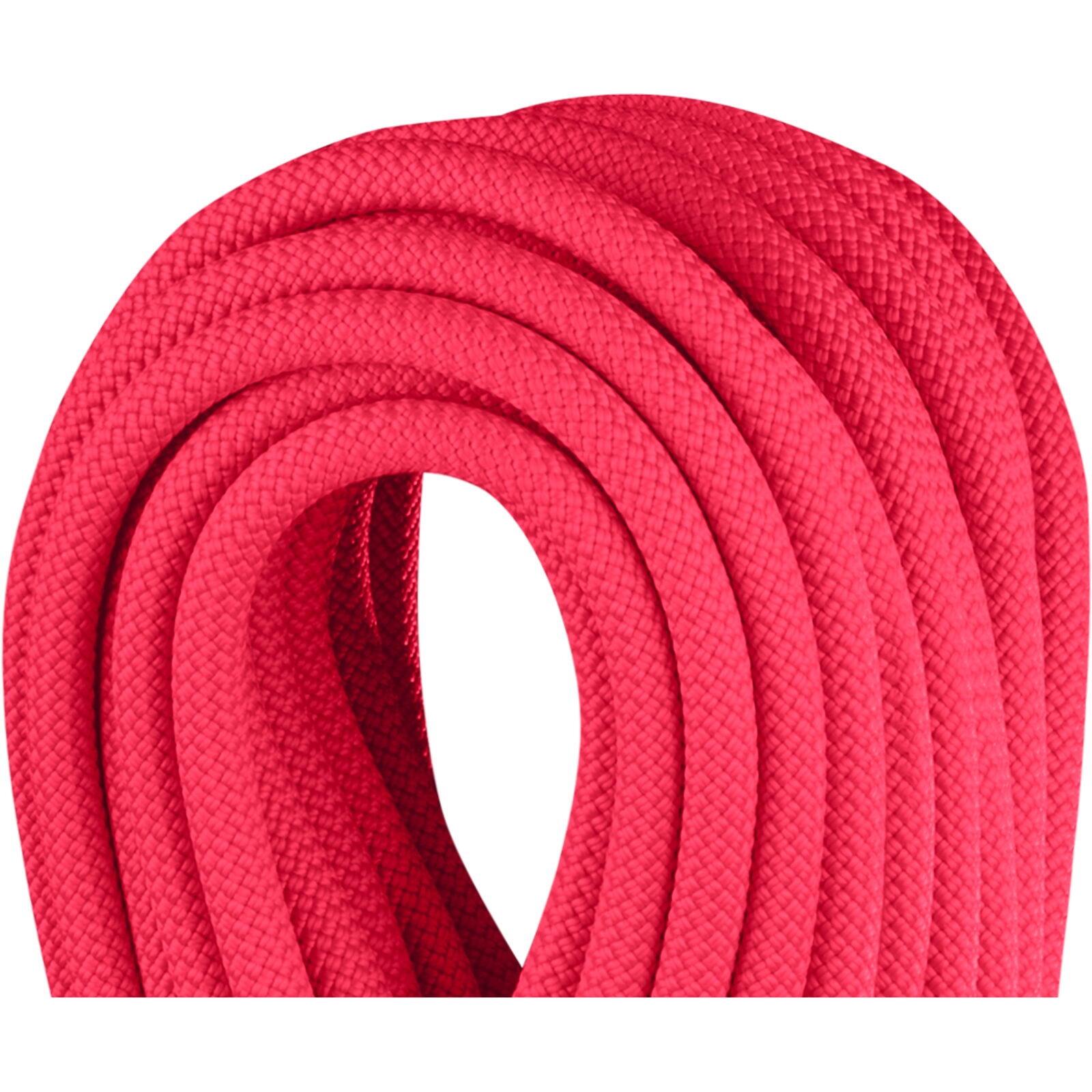 Corde dynamique EDELRID Canary Pro Dry 8,8 mm rose 2/2