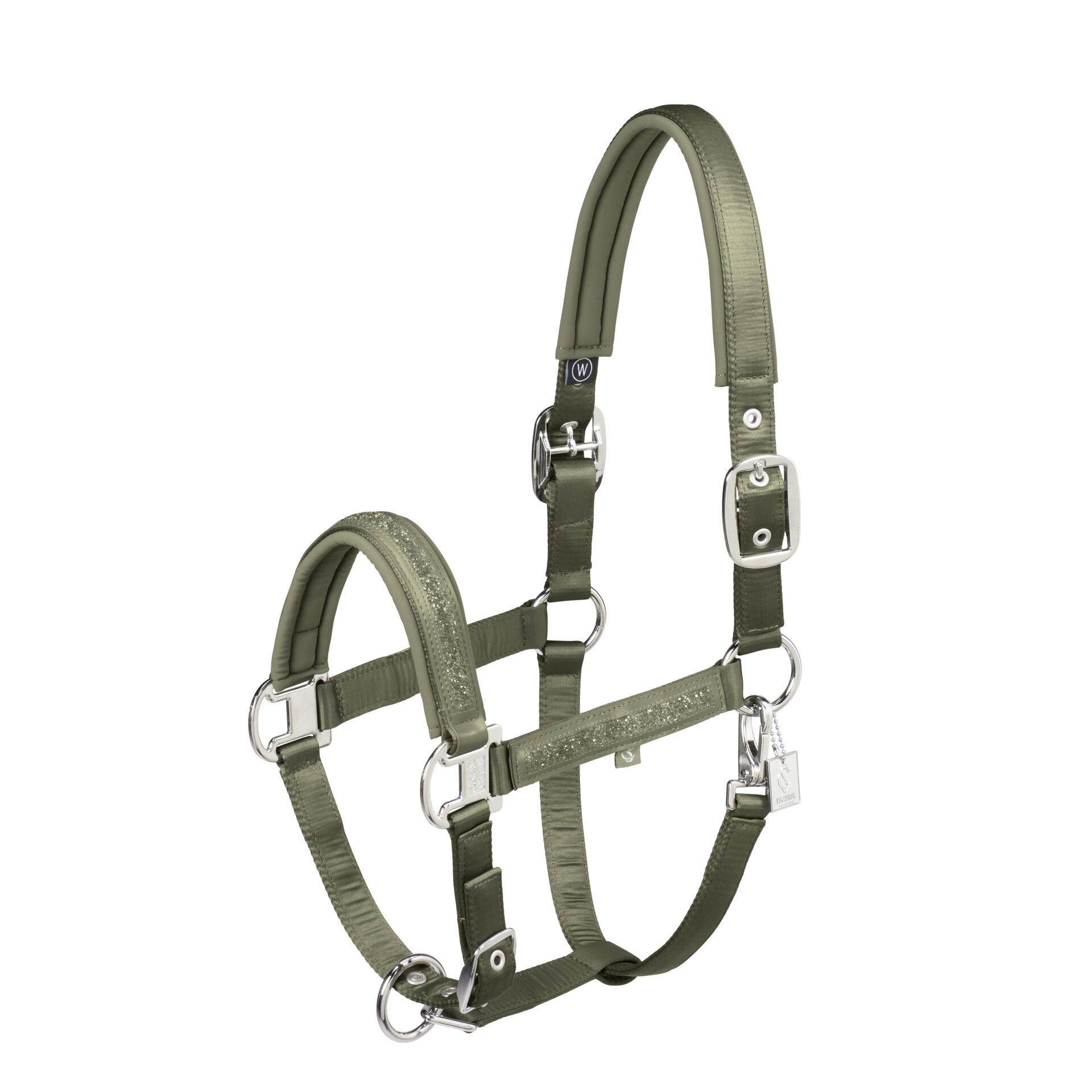 ESKADRON Eskadron Mattgloss Jewel Double Pin Halster Classic Sports 25 Groen