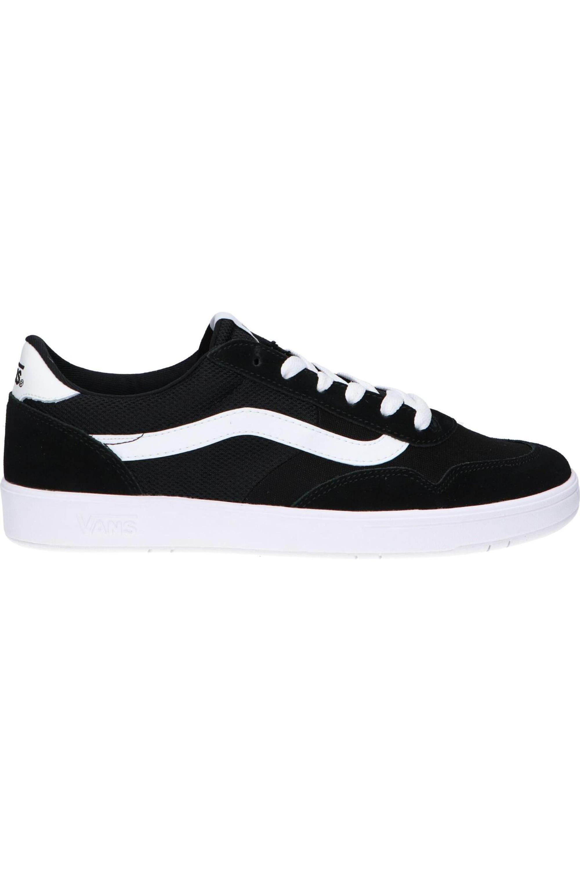 VANS picture