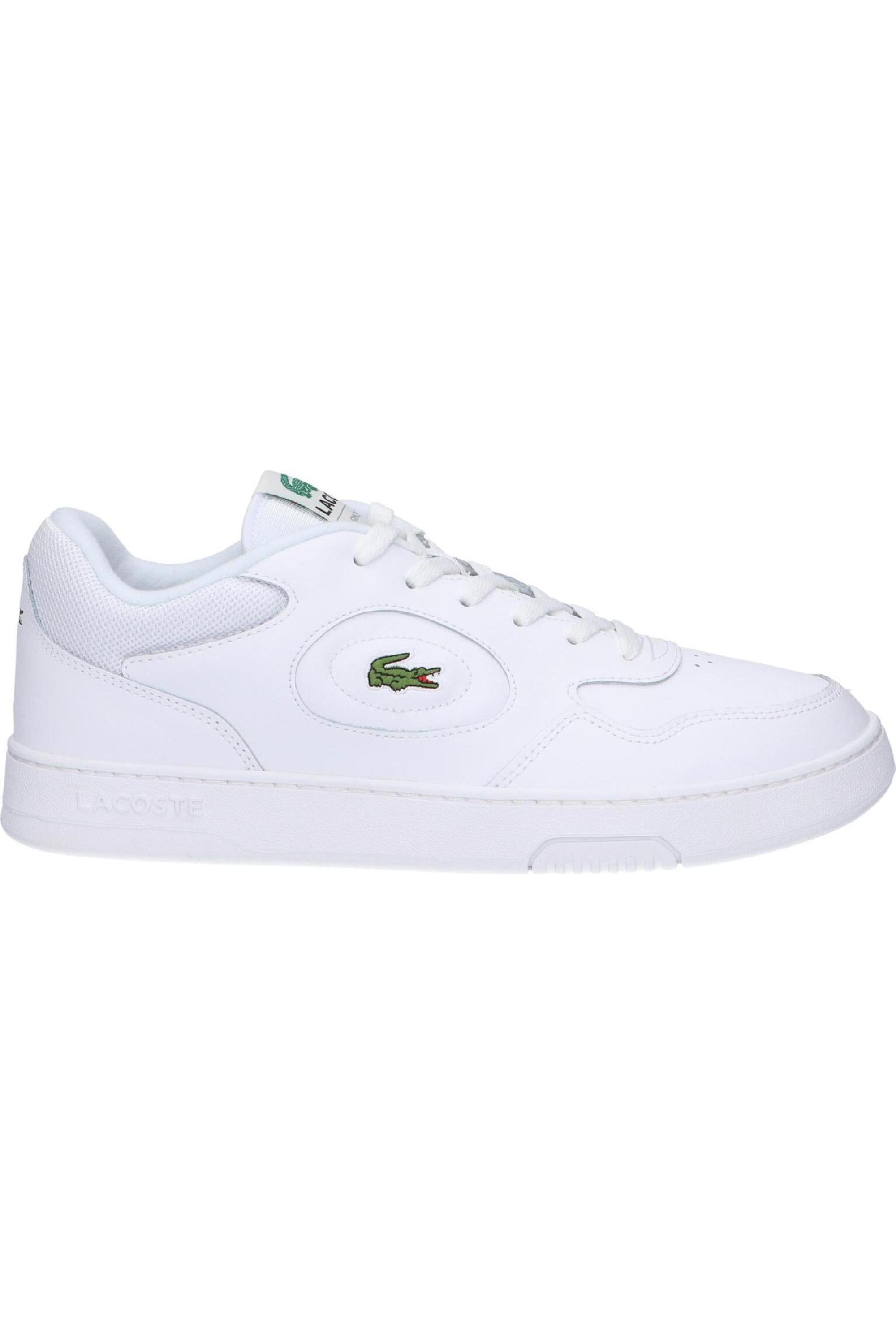 LACOSTE picture