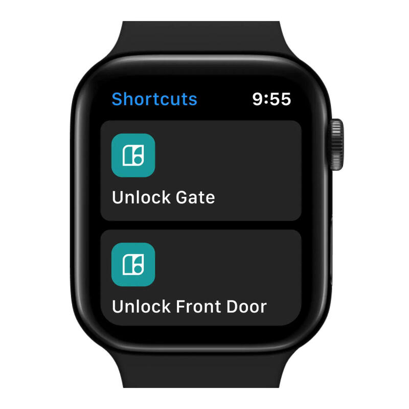 Cadeado igloohome Padlock Lite preto