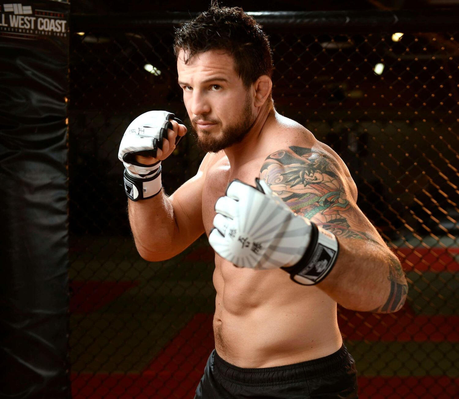 MMA rukavice DBX BUSHIDO E1v7 2/7