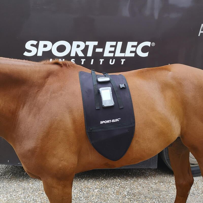 SPORT-ELEC ELETTROSTIMOLATORE PER CAVALLI FORCE TONIC EQUIN
