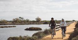 La Camargue à vélo