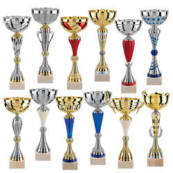 Lot de 12 Coupes LT123B Trophées des vainqueurs