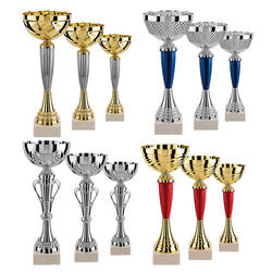 Lot de 12 Coupes LT123A Trophées des vainqueurs
