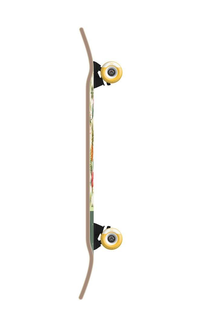 Nassau 29.25 - Skate Calle 2/4