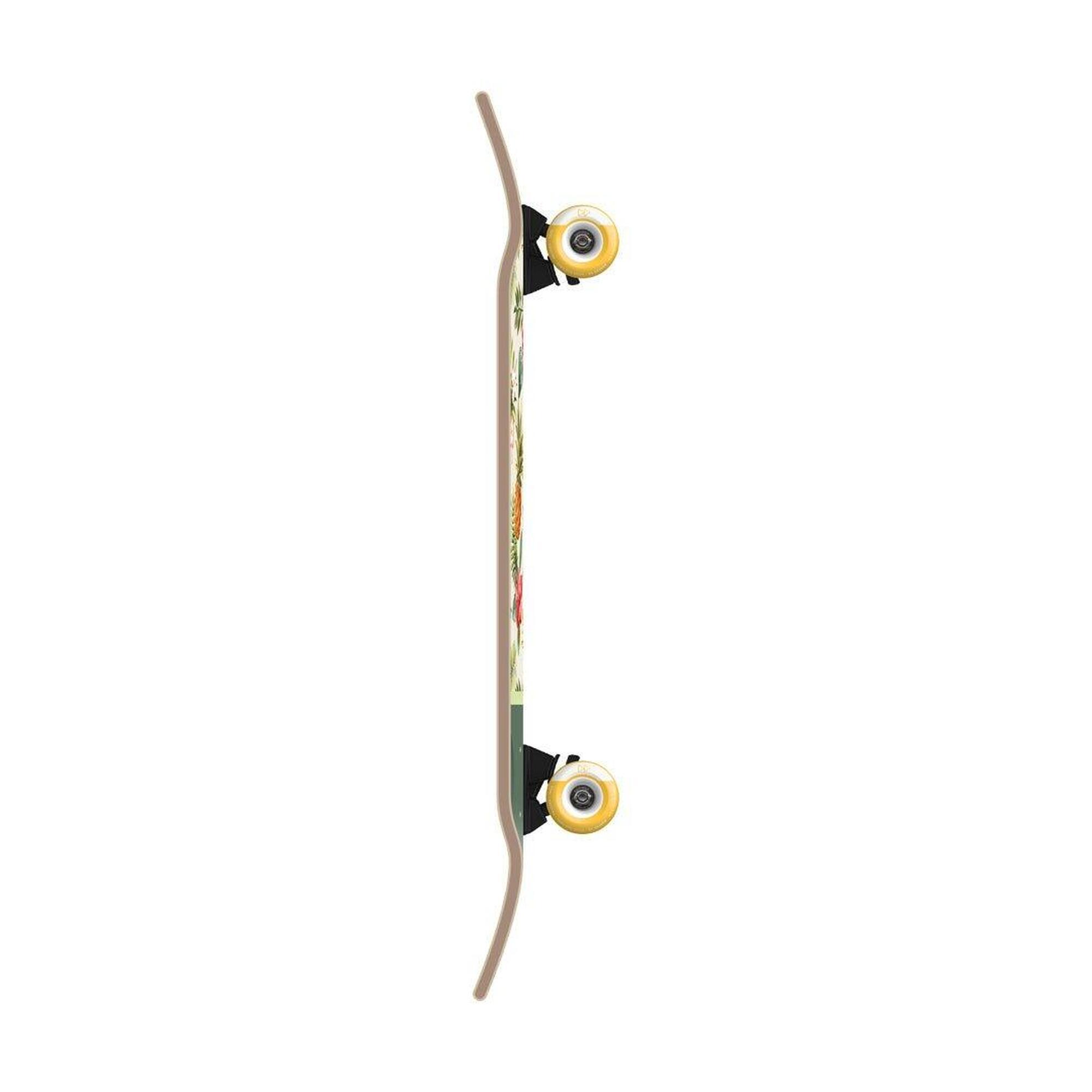 Nassau 29.25 - Skateboard Street 29.25
