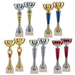 Lot de 10 Coupes Trophées des vainqueurs