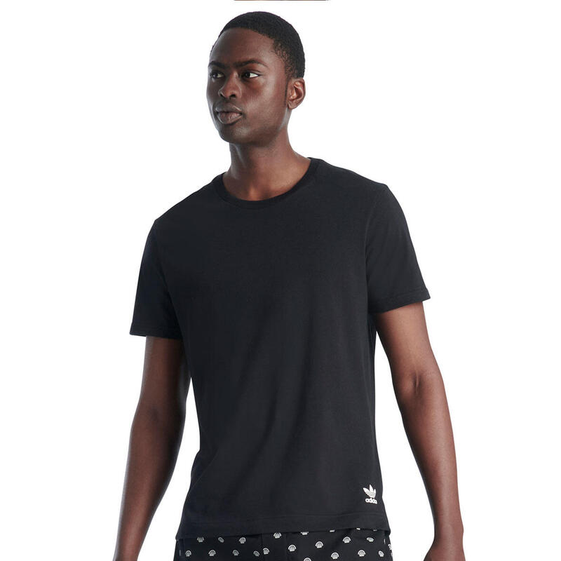 Lot de 2 tee-shirts col rond homme Confort Core Coton
