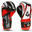Boxerské rukavice DBX BUSHIDO ARB407v2 6oz