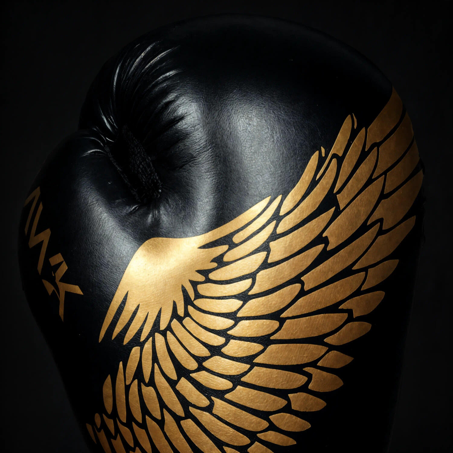Guantoni da boxe DBX BUSHIDO "HAWK" Active Clima 7/7