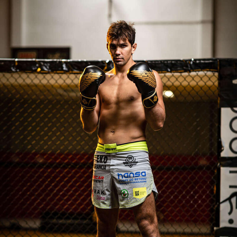 Mănuși de box DBX BUSHIDO "HAWK" Active Clima
