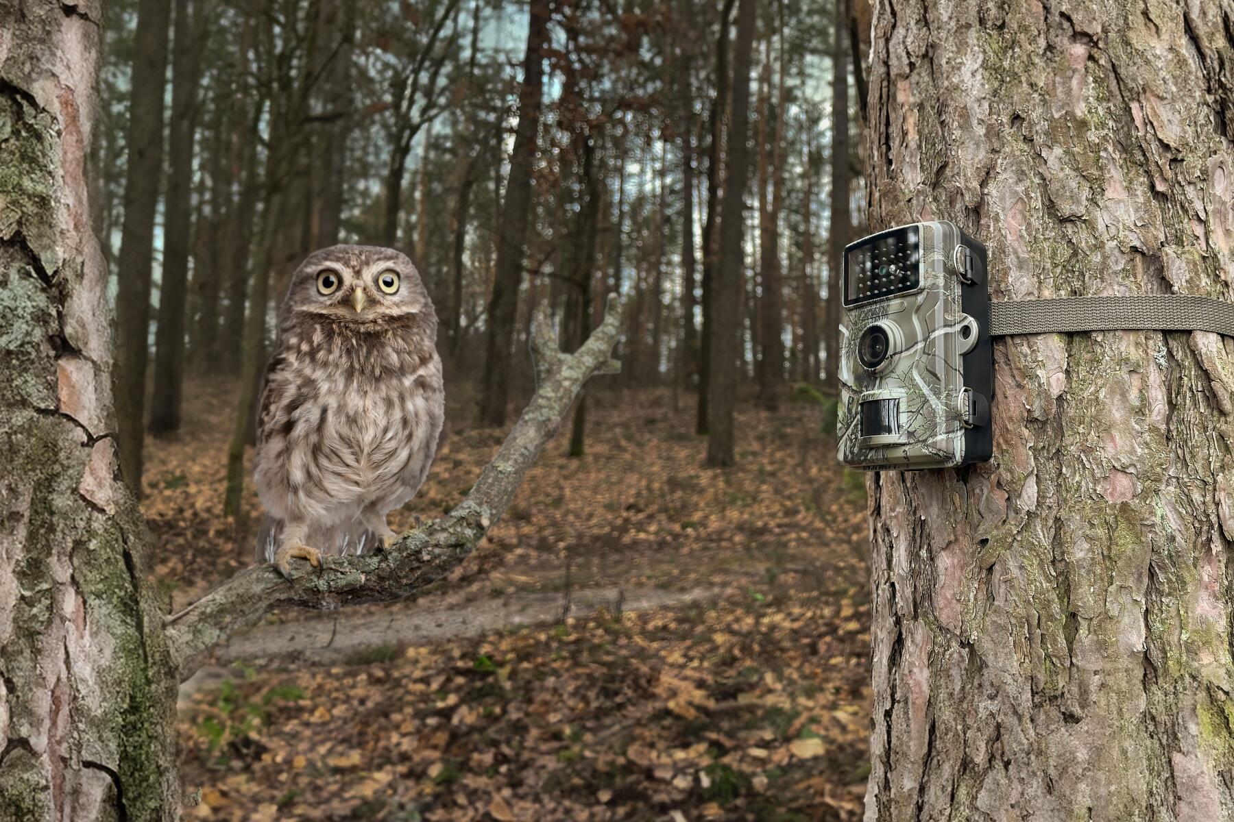 Technaxx Wildcam 1080p TX-256 for Outdoor & Indoor Use 7/7