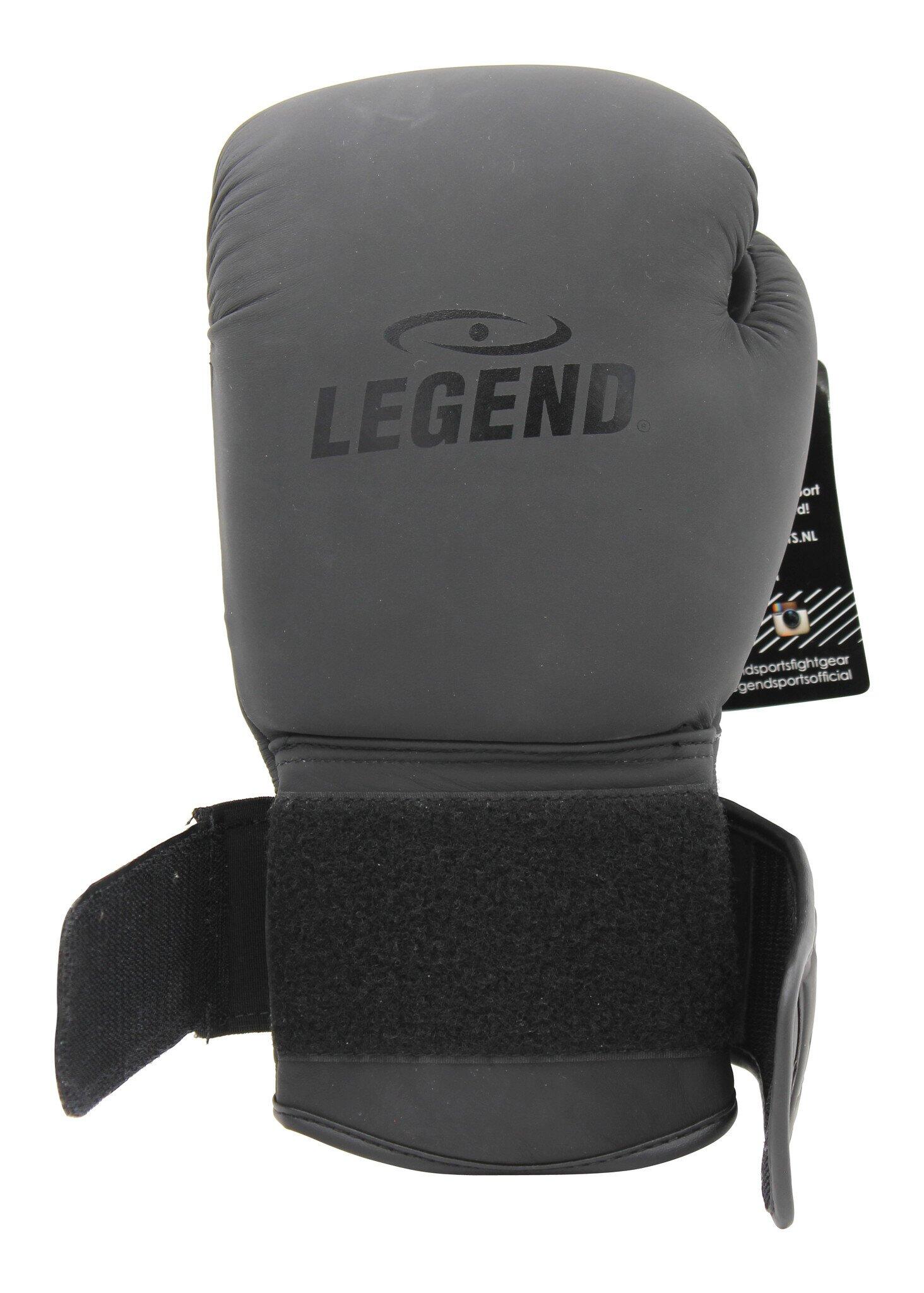 Bokshandschoenen Legend Power Heren/Dames Mat Zwart Leer 6/6