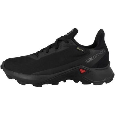 Hardloopschoenen voor volwassenen salomon alphacross 3 gore-tex 25444 zwart