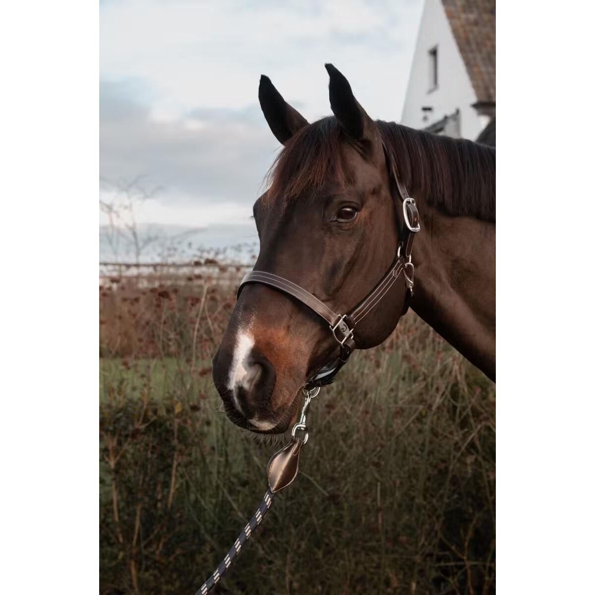 Briglia per cavallo con regolazioni Dy'on US 2/4