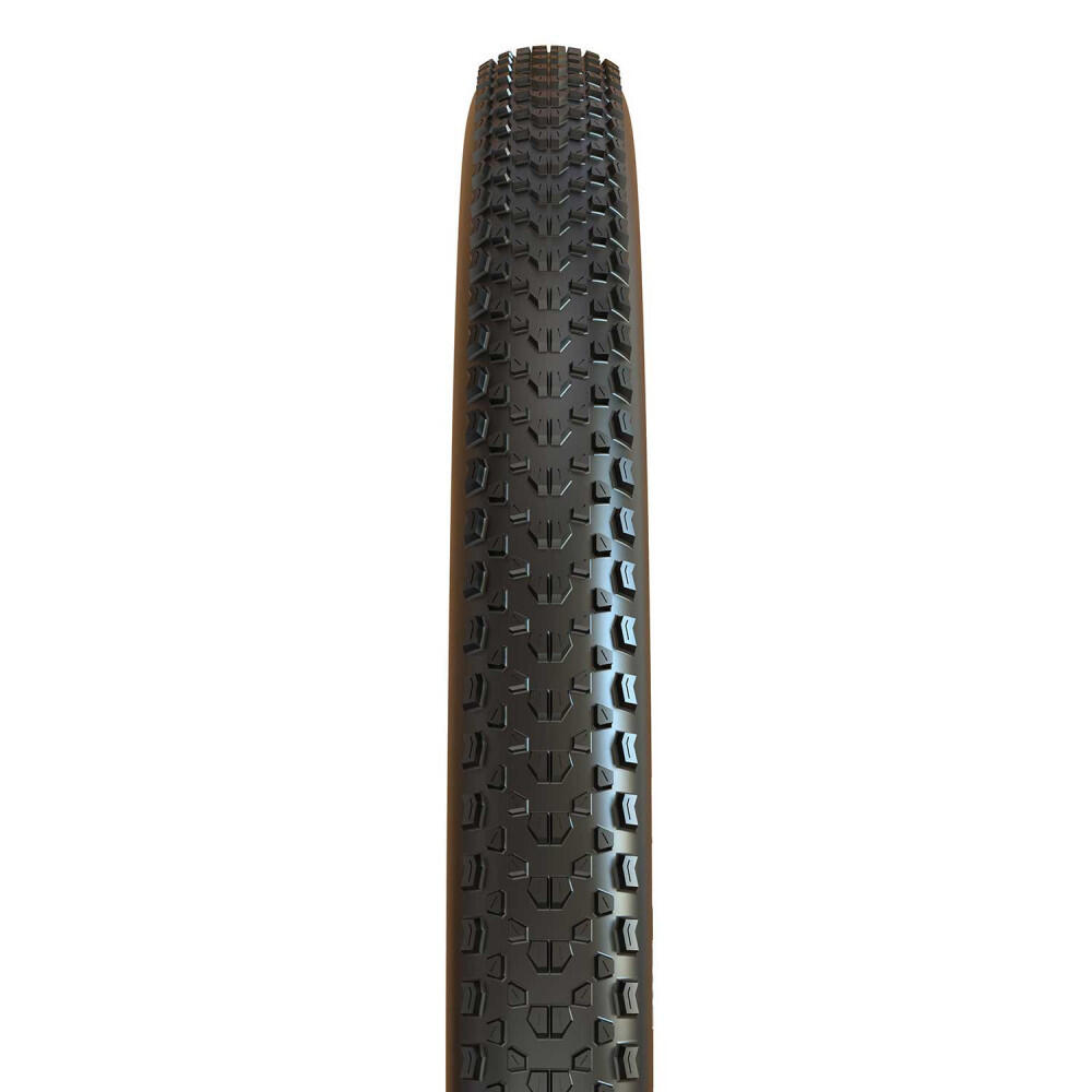 Pneu IKON - 29x2.20 - tr. souple - 120 TPI - MaxSpeed / Exo / Tubeless Ready 5/6
