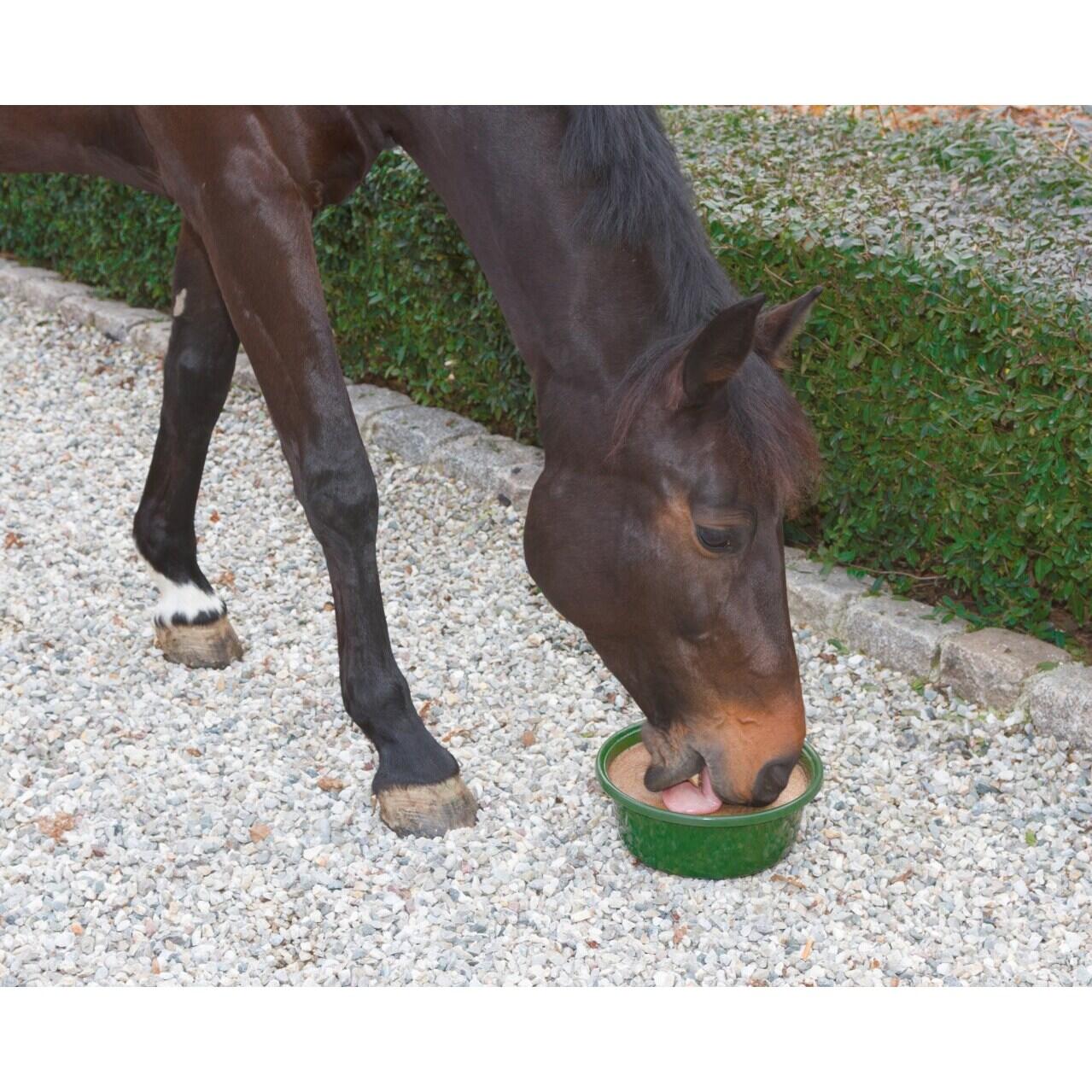 Pierre à sel bronchial cheval Delizia 5/5