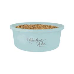 Waldhausen Bol à muesli avec couvercle XL - Turquoise