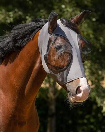 Bonnet anti-mouches pour cheval QHP Super bug