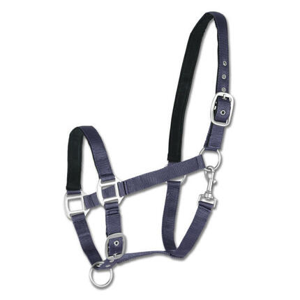 Licol pour cheval satin Waldhausen