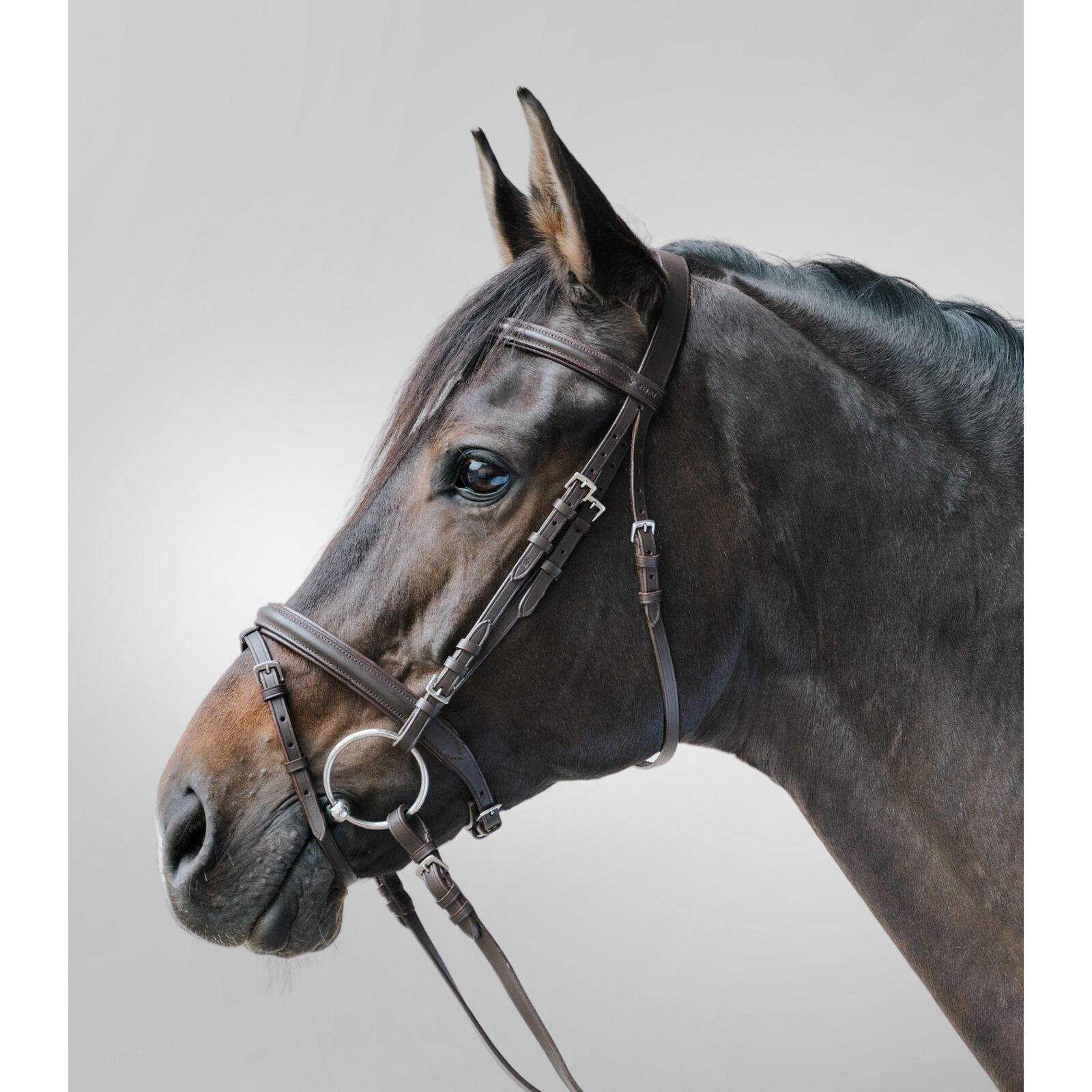 STAR Combiné hoofdstel met neusriem Star Lifestyle