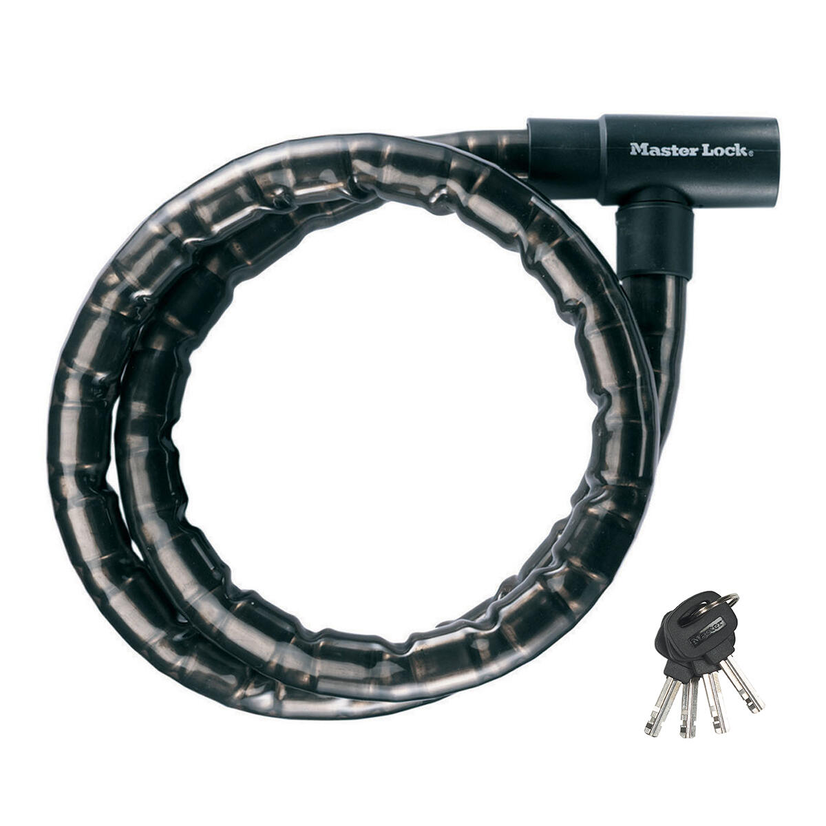 MASTER LOCK picture