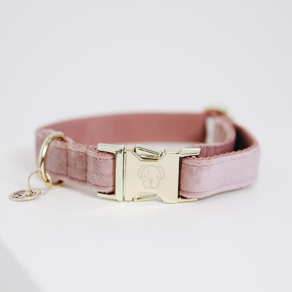 KENTUCKY HORSEWEAR Kentucky Hondenhalsband Velvet Roze
